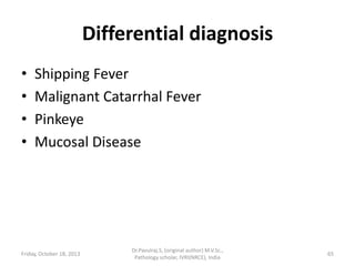 Differential diagnosis
•
•
•
•

Shipping Fever
Malignant Catarrhal Fever
Pinkeye
Mucosal Disease

Friday, October 18, 2013

Dr.Pavulraj.S, (original author) M.V.Sc.,
Pathology scholar, IVRI(NRCE), India

65

 