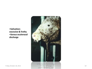 •Salivation:
excessive & frothy
•Serous oculonasal
discharge

Friday, October 18, 2013

Dr.Pavulraj.S, (original author)
M.V.Sc., Pathology
scholar, IVRI(NRCE), India

67

 