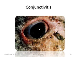 Conjunctivitis

Friday, October 18, 2013

Dr.Pavulraj.S, (original author)
M.V.Sc., Pathology
scholar, IVRI(NRCE), India

68

 