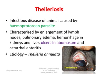 Theileriosis
• Infectious disease of animal caused by
haemoprotozoan parasite
• Characterized by enlargement of lymph
nodes, pulmonary edema, hemorrhage in
kidneys and liver, ulcers in abomasum and
catarrhal enteritis
• Etiology – Theileria annulata

Friday, October 18, 2013

Dr.Pavulraj.S, (original author)
M.V.Sc., Pathology
scholar, IVRI(NRCE), India

76

 