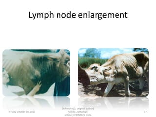 Lymph node enlargement

Friday, October 18, 2013

Dr.Pavulraj.S, (original author)
M.V.Sc., Pathology
scholar, IVRI(NRCE), India

77

 