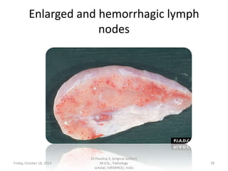 Enlarged and hemorrhagic lymph
nodes

Friday, October 18, 2013

Dr.Pavulraj.S, (original author)
M.V.Sc., Pathology
scholar, IVRI(NRCE), India

78

 