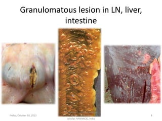 Granulomatous lesion in LN, liver,
intestine

Friday, October 18, 2013

Dr.Pavulraj.S, (original author)
M.V.Sc., Pathology
scholar, IVRI(NRCE), India

8

 