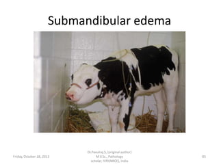 Submandibular edema

Friday, October 18, 2013

Dr.Pavulraj.S, (original author)
M.V.Sc., Pathology
scholar, IVRI(NRCE), India

85

 