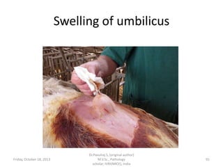 Swelling of umbilicus

Friday, October 18, 2013

Dr.Pavulraj.S, (original author)
M.V.Sc., Pathology
scholar, IVRI(NRCE), India

91

 