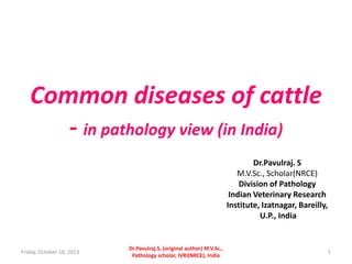 Common diseases of cattle
- in pathology view (in India)
Dr.Pavulraj. S
M.V.Sc., Scholar(NRCE)
Division of Pathology
Indian Veterinary Research
Institute, Izatnagar, Bareilly,
U.P., India

Friday, October 18, 2013

Dr.Pavulraj.S, (original author) M.V.Sc.,
Pathology scholar, IVRI(NRCE), India

1

 
