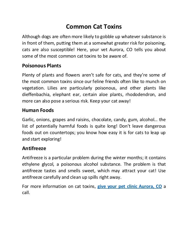 Common cat toxins