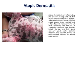 Common Causes of Skin Problems in Dogs | Dr Jennifer Creed | PPTX