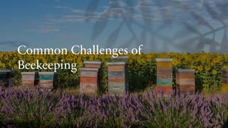 Common Challenges of
Beekeeping
 
