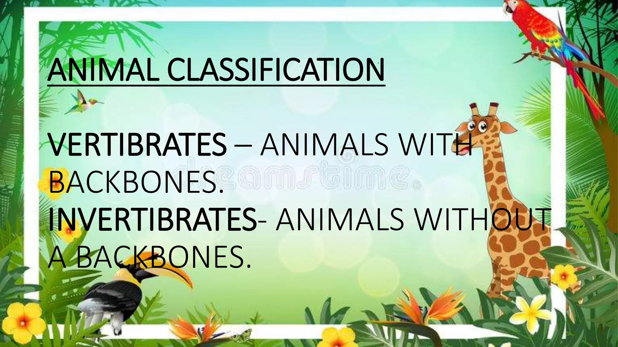 COMMON CHARACTERISTICS OF ANIMALS AND PLANTS FOR CLASSIFICATION(GRADE6.pptx