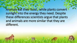 Characteristics of Plants and Animals