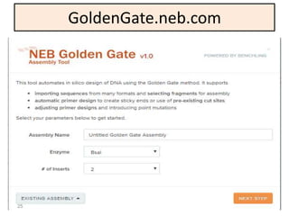 GoldenGate.neb.com
25
 