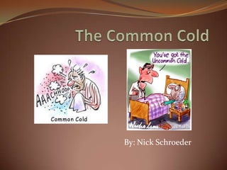 The Common Cold By: Nick Schroeder 