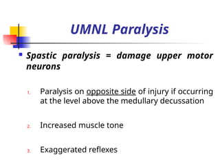 Comprehensive Overview of Common Spinal Cord Lesions and Syndromes | PPTX