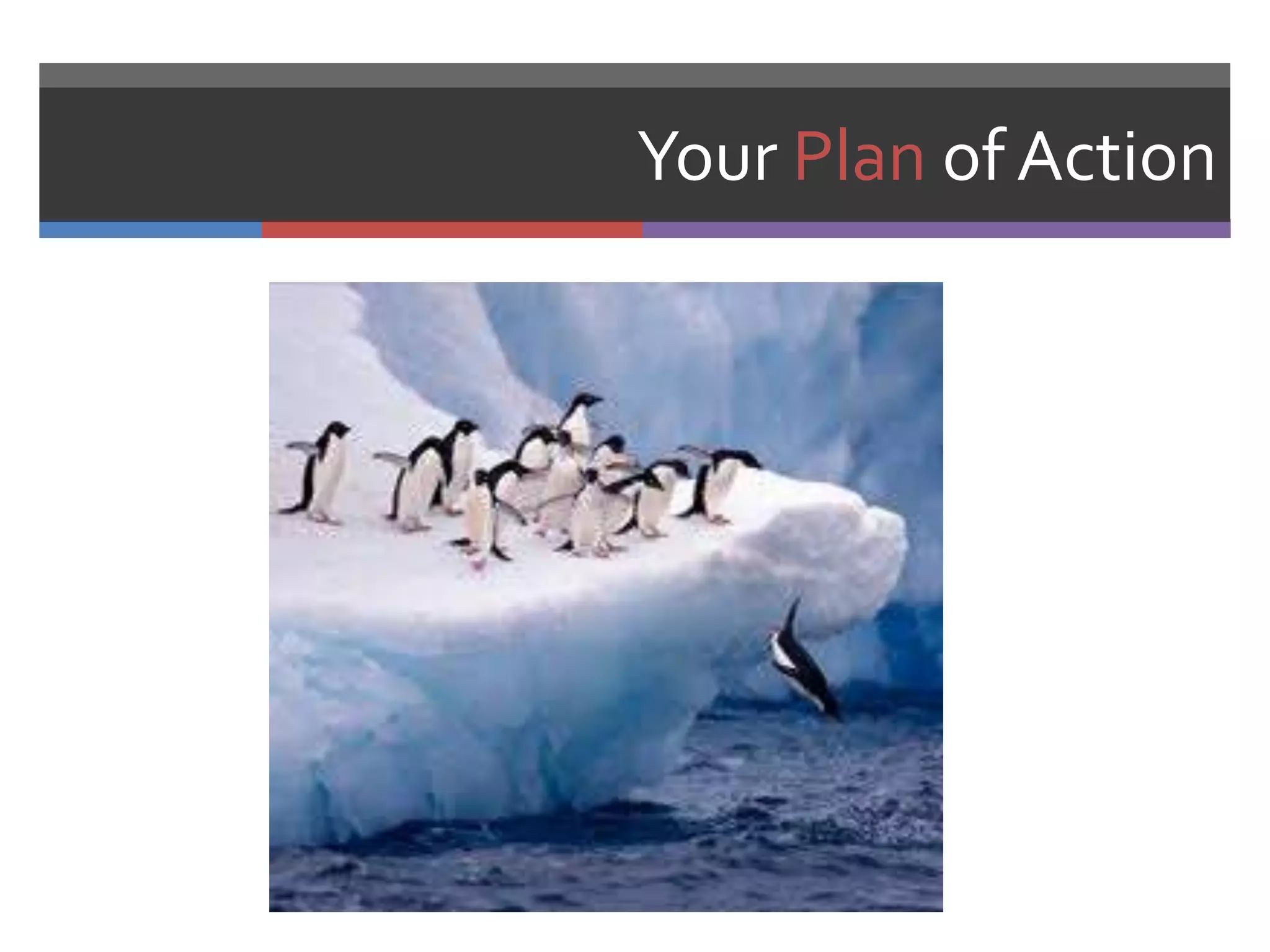 Your Plan of Action
 