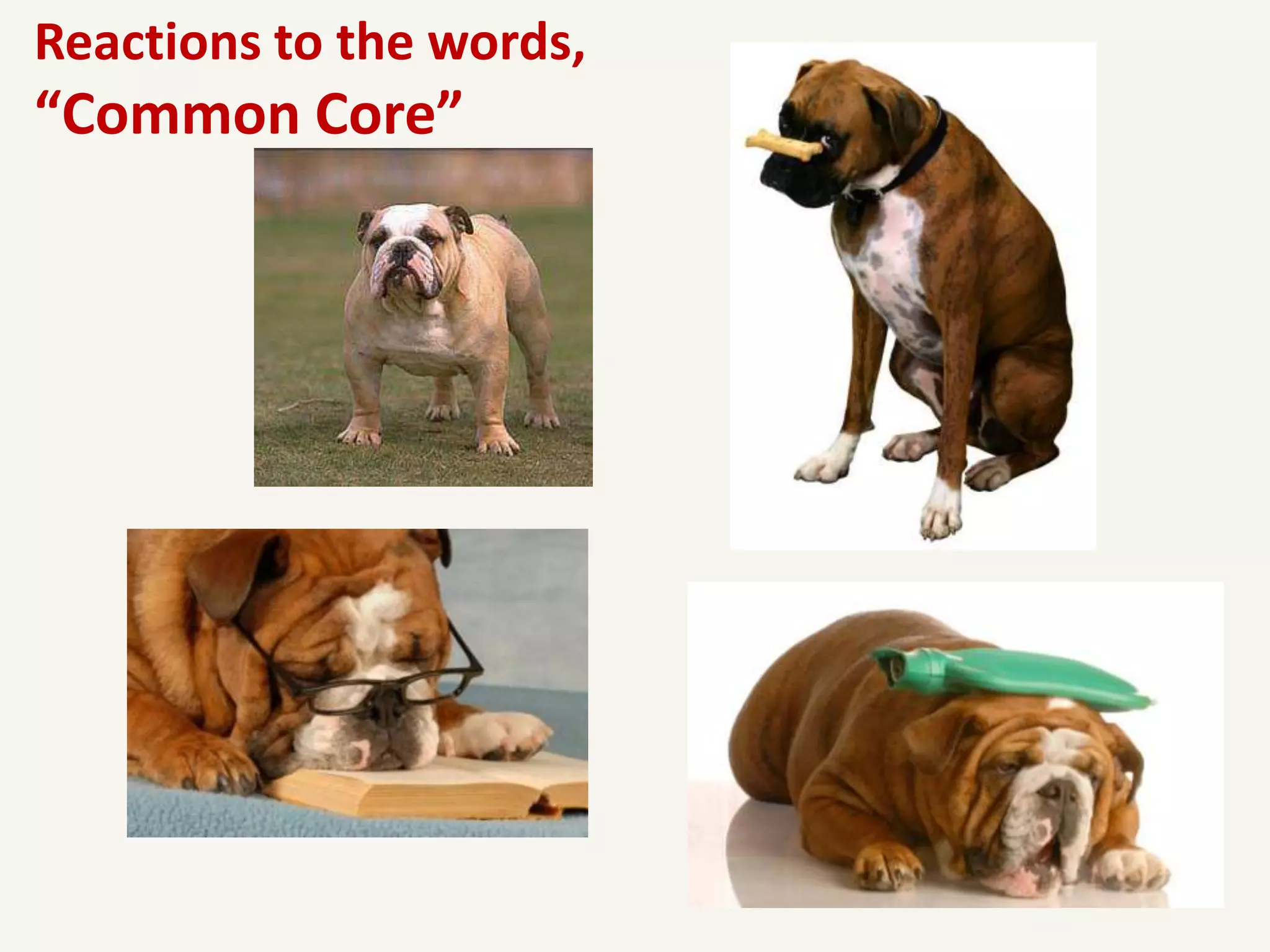 Reactions to the words,
“Common Core”
 