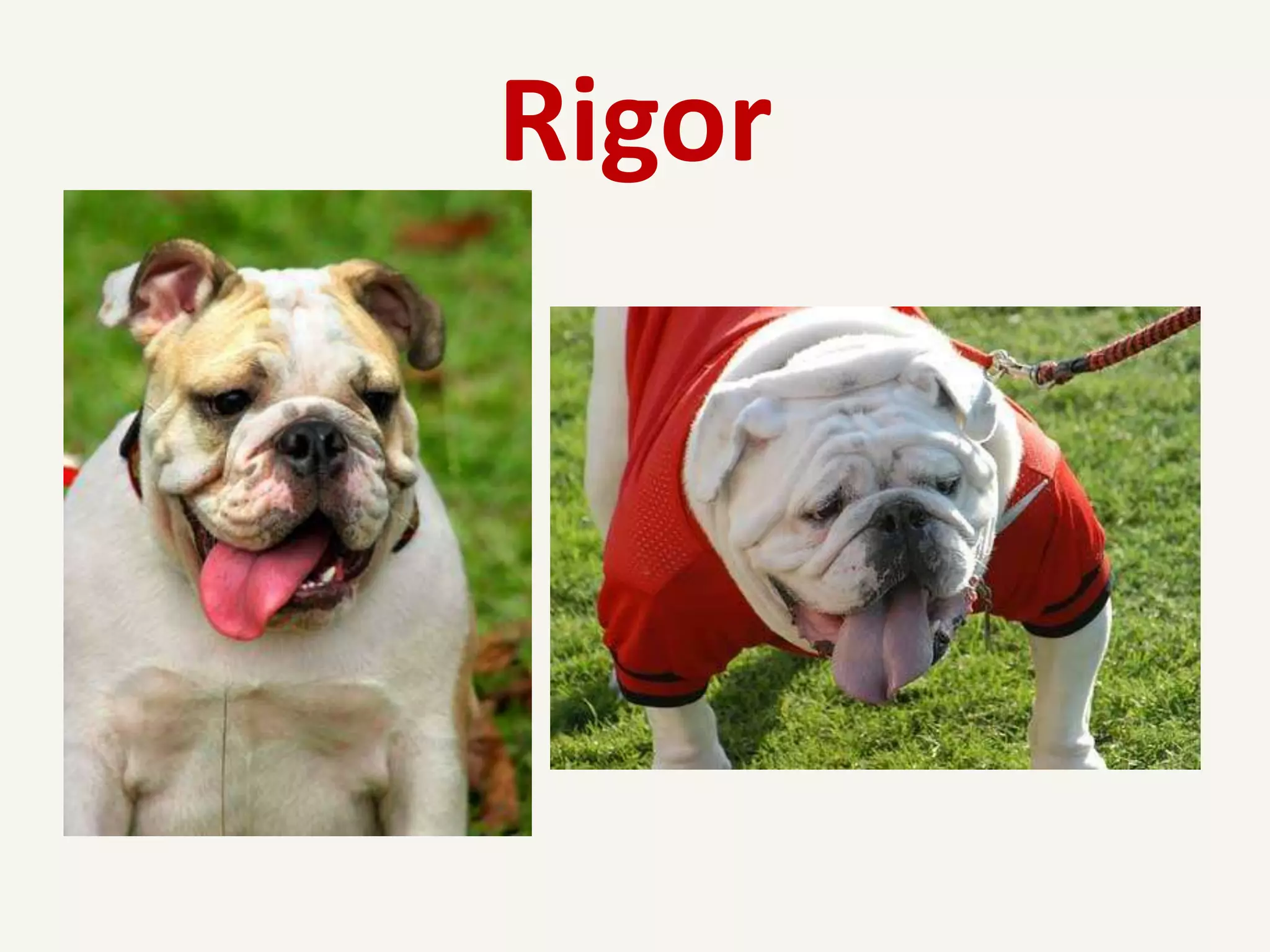 Rigor
 