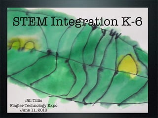 Jill Tillis
Flagler Technology Expo
June 11, 2013
STEM Integration K-6
 