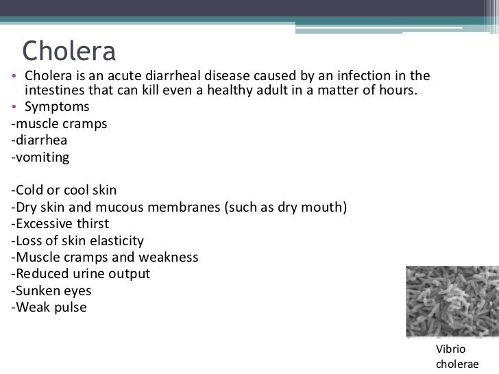 What are some common digestive diseases?