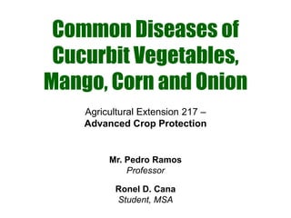 Common Diseases of
 Cucurbit Vegetables,
Mango, Corn and Onion
    Agricultural Extension 217 –
    Advanced Crop Protection


         Mr. Pedro Ramos
             Professor

           Ronel D. Cana
           Student, MSA
 