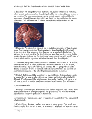Common diseases and affections of laboratroy rabbits, quick review ...