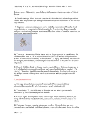 Common diseases and affections of laboratroy rabbits, quick review ...