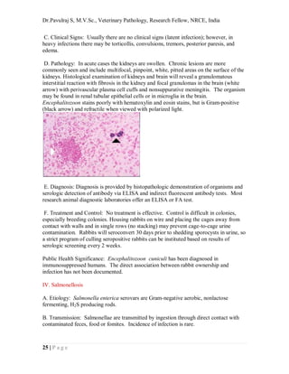 Common diseases and affections of laboratroy rabbits, quick review ...
