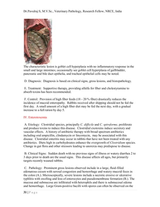 C. Diff In Rabbits Common diseases and affections of laboratroy rabbits, quick review ...