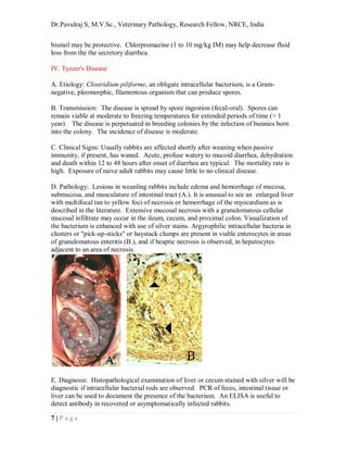 Common diseases and affections of laboratroy rabbits, quick review ...
