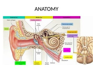 COMMON DISEASES OF THE EXTERNAL AND MIDDLE EAR.pptx