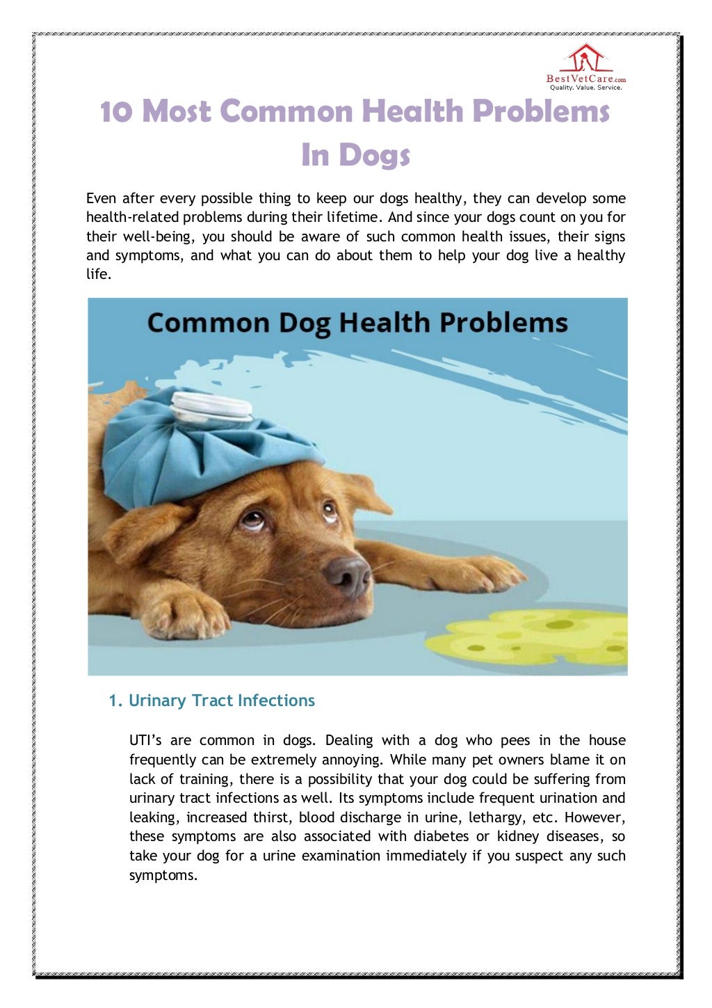 Common dog health problem