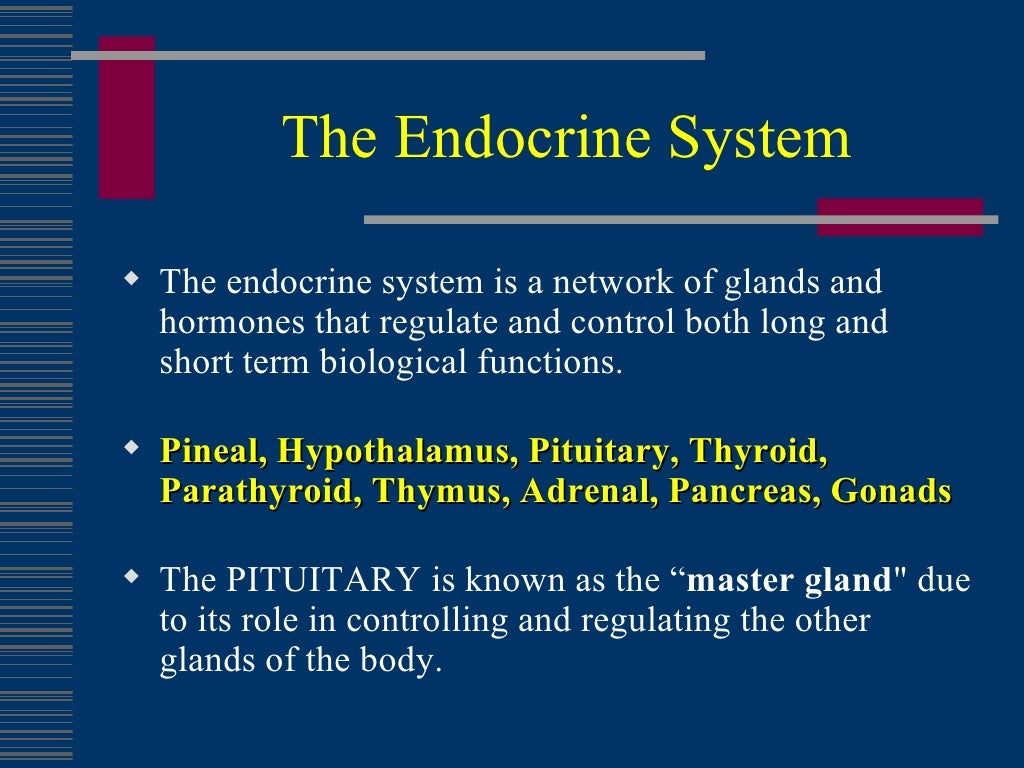 Common Endocrine Disorders