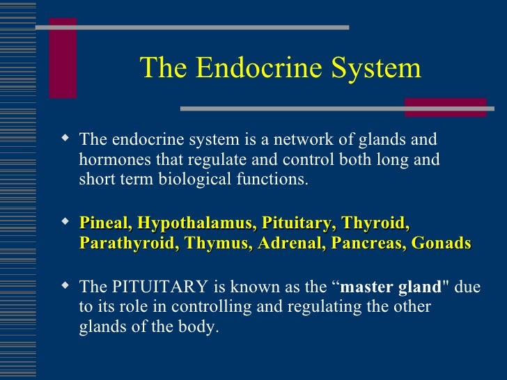 Common Endocrine Disorders