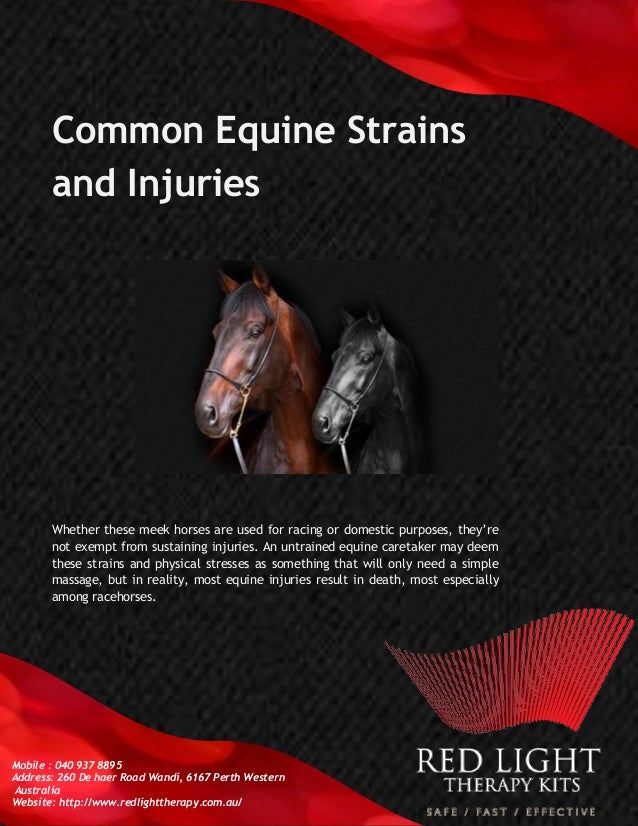 Common Equine Strains and Injuries