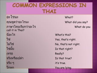 อะไรนะ                          What?
คุณพูดว่าอะไรนะ                 What did you say?
ภาษาไทยเรียกว่าอะไร                     What do you
call it in Thai?
นี่อะไร               What’s this?
ใช่                   Yes, that’s right.
ไม่ใช่                No, that’s not right.
ใช่มั้ย               Is that right?
เหรอ                  Really?
จริงหรือเปล่า         Is that true?
จริง ๆ                it’s true.
โกหก                  You are lying.
 
