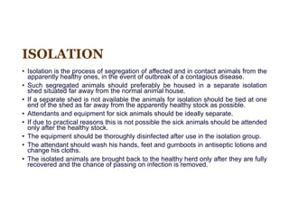 COMMON FARM ANIMAL practices of animal .pdf