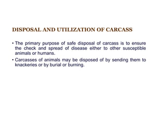 COMMON FARM ANIMAL practices of animal .pdf