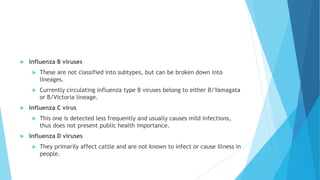  Influenza B viruses
 These are not classified into subtypes, but can be broken down into
lineages.
 Currently circulating influenza type B viruses belong to either B/Yamagata
or B/Victoria lineage.
 Influenza C virus
 This one is detected less frequently and usually causes mild infections,
thus does not present public health importance.
 Influenza D viruses
 They primarily affect cattle and are not known to infect or cause illness in
people.
 