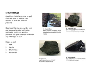 Slow change
Conditions that change peat to coal
from one form to another over
millions of years are heat and
pressure.
Older coal that has been under heat
and pressure is called anthracite.
Anthracite coal burns with less
pollution and gives off more heat than
any other type of coal.
Stages of coal:
1. Peat
2. Lignite
3. Bituminous
4. Anthracite
3. Bituminous coal:
https://upload.wikimedia.org/wikipedia
/commons/2/20/Coal_bituminous.jpg
1. A peat bog:
https://upload.wikimedia.org/w
ikipedia/commons/0/02/Peat_b
og.jpg
2. Lignite coal:
https://c1.staticflickr.com/9/8373/
8512397381_745074acb0.jpg
4. Anthracite coal:
https://c1.staticflickr.com/9/8684/16941
787095_1a01cddfca_b.jpg
 