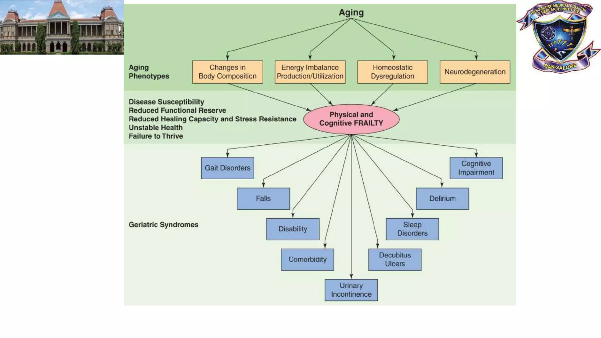 COMMON GERIATRIC SYNDROMES (1).pptx