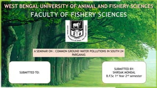 FACULTY OF FISHERY SCIENCES
A SEMINAR ON : COMMON GROUND WATER POLLUTIONS IN SOUTH 24
PARGANAS
SUBMITTED TO:
SUBMITTED BY:
SHIRSAK MONDAL
B.F.Sc 1st Year 2nd semester
 