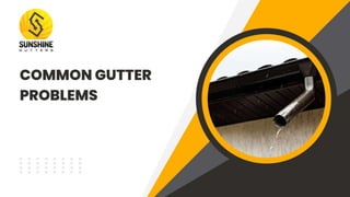 COMMON GUTTER PROBLEMS You may face with your gutters