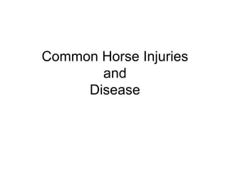Common Horse Injuries
       and
     Disease
 