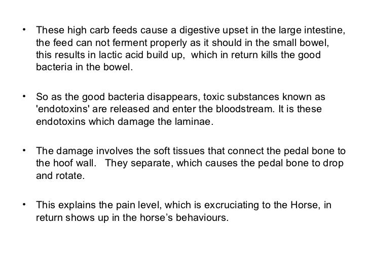 Common horse injuries