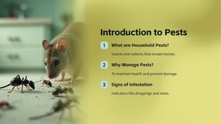 Pest Introduction Common Household Pests and How Professional Pest Control Experts Manage ...