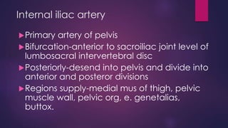 Internal iliac artery
Primary artery of pelvis
Bifurcation-anterior to sacroiliac joint level of
lumbosacral intervertebral disc
Posteriorly-desend into pelvis and divide into
anterior and posteror divisions
Regions supply-medial mus of thigh, pelvic
muscle wall, pelvic org, e. genetalias,
buttox.
 
