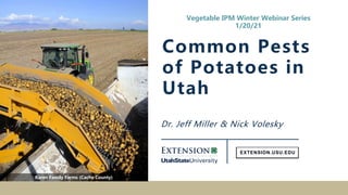Dr. Jeff Miller & Nick Volesky
Common Pests
of Potatoes in
Utah
Vegetable IPM Winter Webinar Series
1/20/21
Karen Family Farms (Cache County)
 