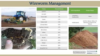 Common Insect Pests of Potatoes in Utah