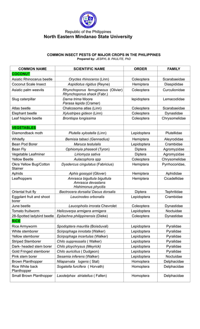 Common Insects of Common of Major Crops in the Philippines_2024.docx ...