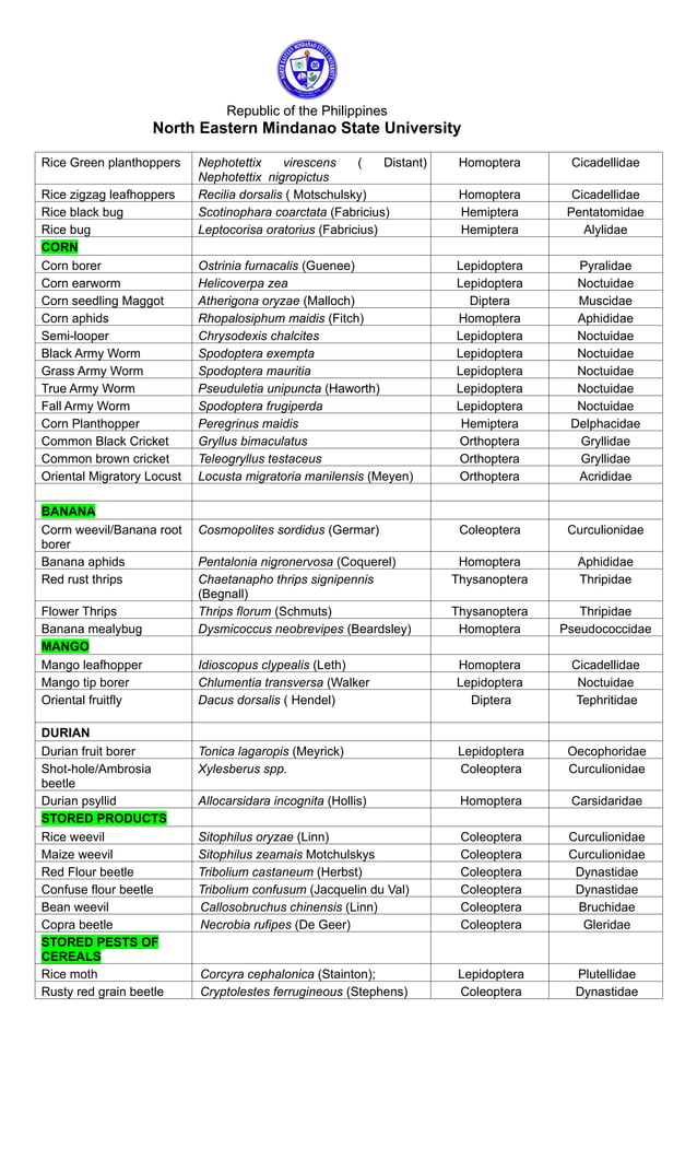 Common Insects of Common of Major Crops in the Philippines_2024.docx ...